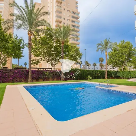 Costablancadreams Apolo 12 4e In Apartment *